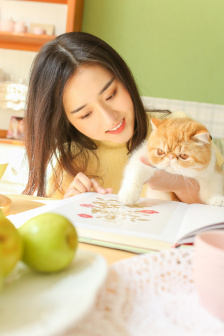 仁科百华全集